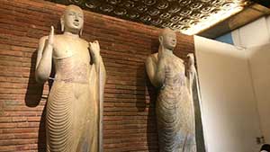 Ruwanweliseya Buddha Statues Photo
